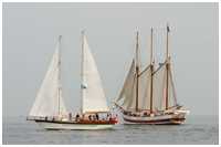 weitere Impressionen von der Hanse Sail 2010